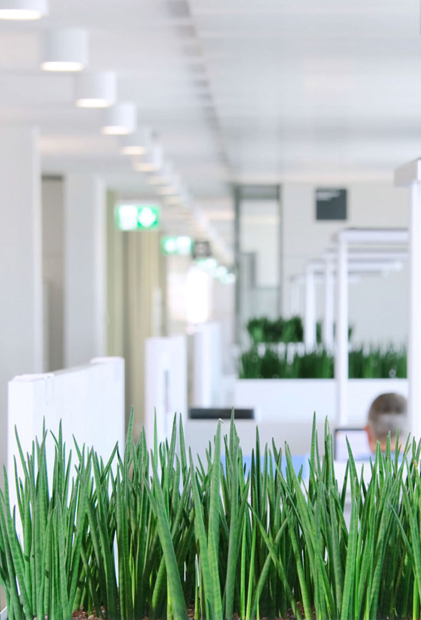 gruentipp3-NL