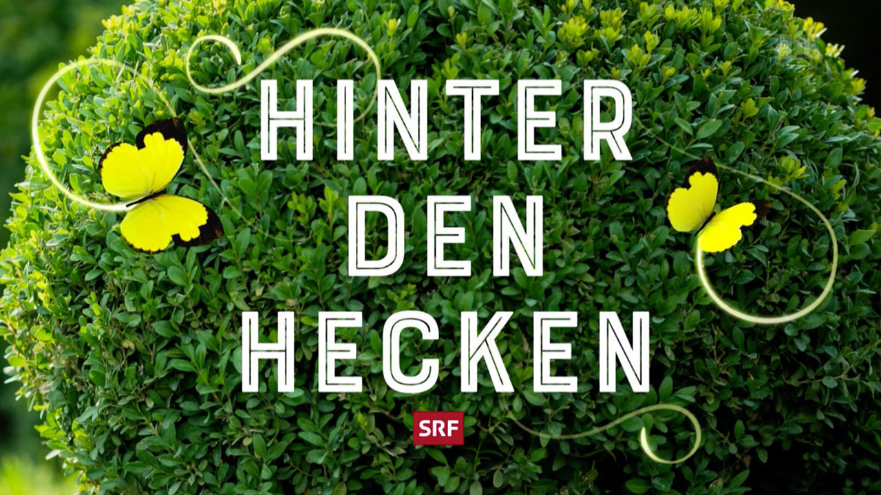 hydroplant_Hinter-den-Hecken