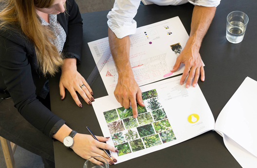 nl_beitrag_pflanzenwahl