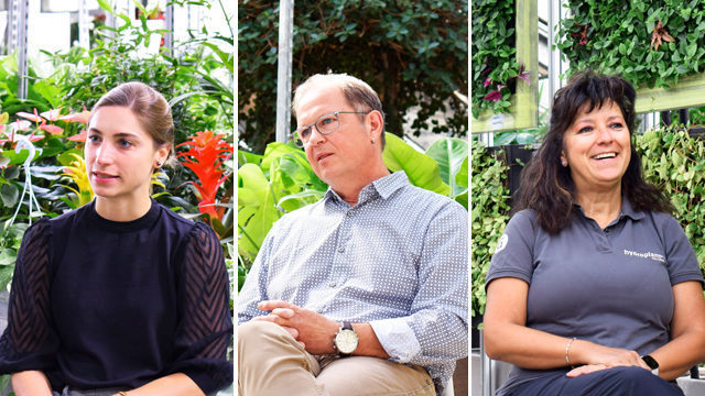 newsletter-dez2021-header