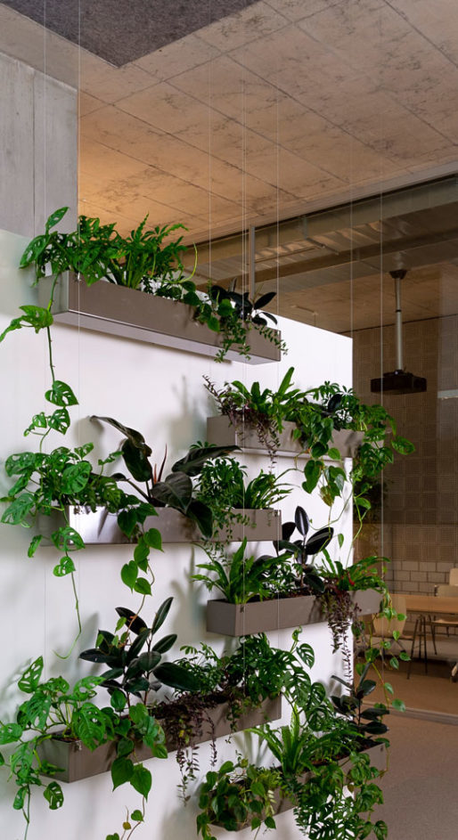 newsletter-dez2021-greencurtain4