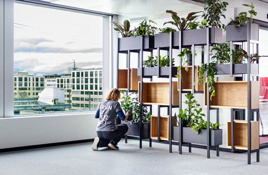 newsletter-dez2021-sunrise-upc