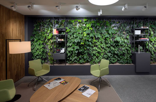 newsletter-dez2021-suva