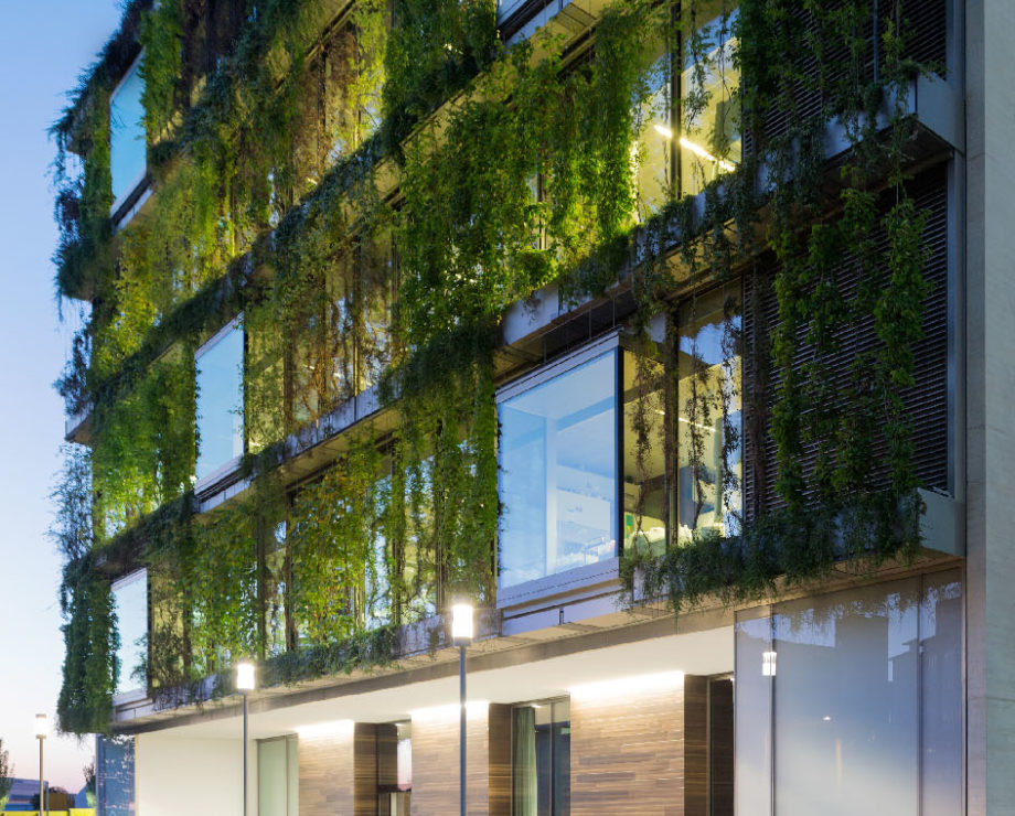 Novartis_Fassadenbegruenung_web_2-aspect-ratio-920-740