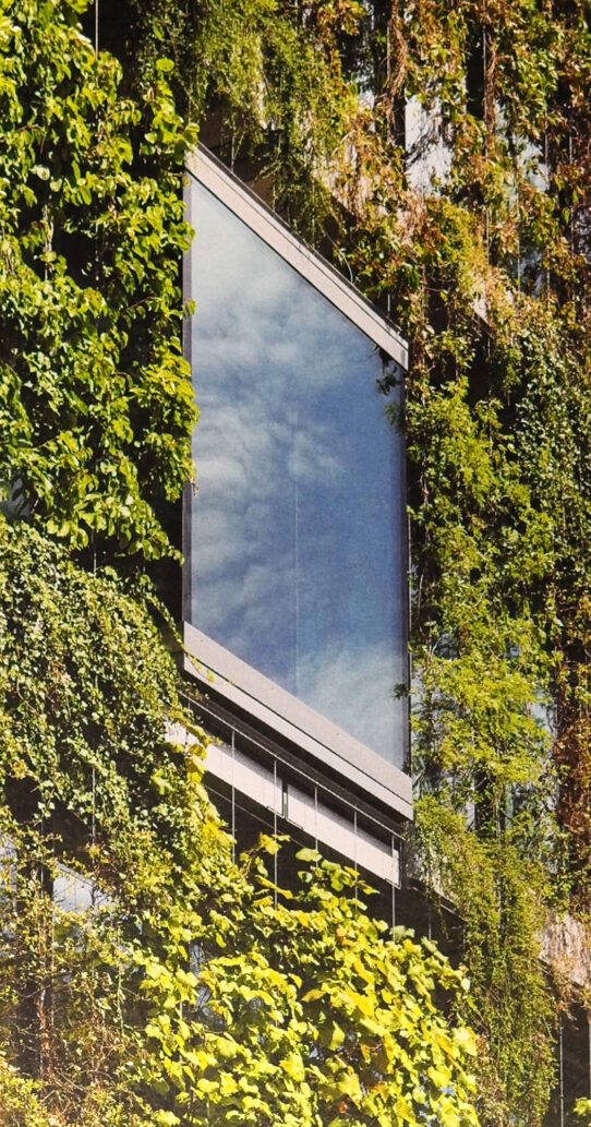 fassadenbegruenung_novartis_4_nl