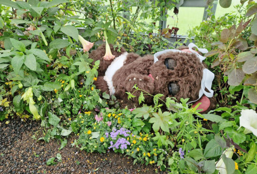 hydroplant_Precious_News_Teaserbild