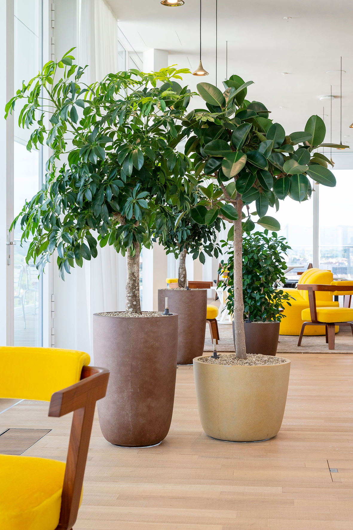 Basel Helvetia Hauptsitz_DSC2671