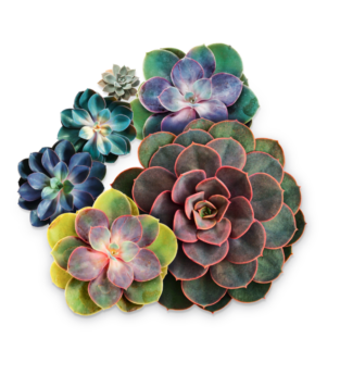 hydroplant_SoMe_Bessergruen_01