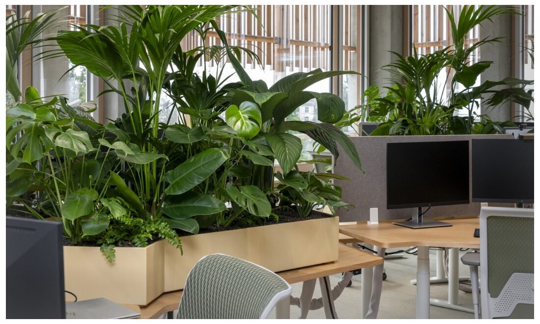 hydroplant_nl_bild_kinderspital-zuerich_ohne-rahmen