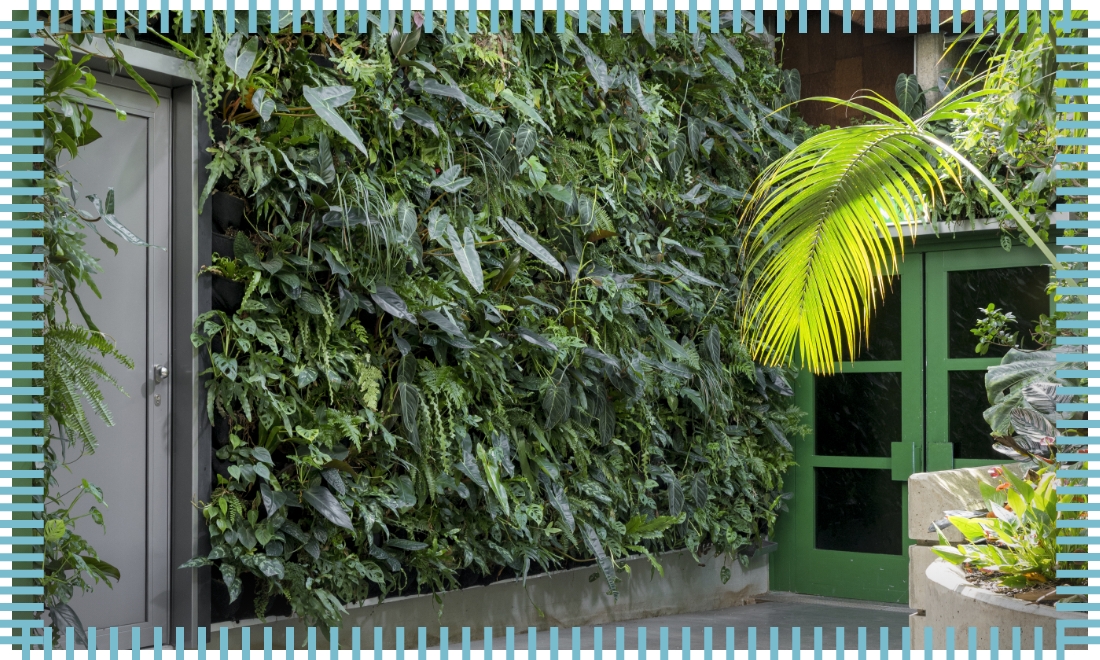 hydroplant_nl_bild_zoo-zuerich_mit-rahmen